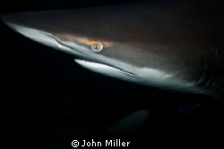 Off Scottburgh on the Natal South Coast, Nikon D7000 wide... by John Miller 